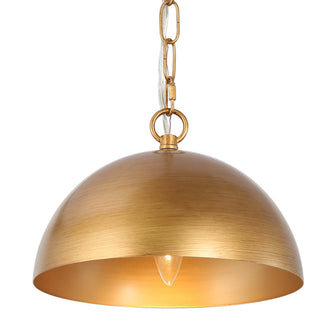 Alala 1-Light Barn Pendant Light