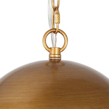 Alala 1-Light Barn Pendant Light