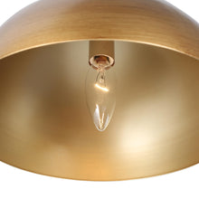 Alala 1-Light Barn Pendant Light