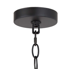 Pheme 1-Light Mini Pendant Light-Black