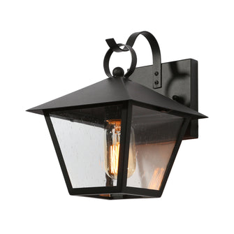 Notus 1-Light Lantern Outdoor Wall Light