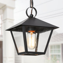 Notus 1-Light Lantern Outdoor Pendant Light