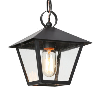 Notus 1-Light Lantern Outdoor Pendant Light